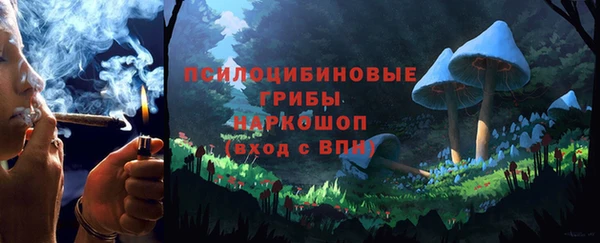 гидра Лихославль