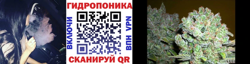 Конопля план Полтавская